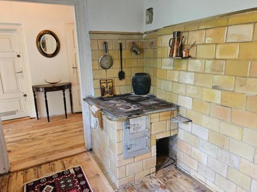 a kitchen with a brick wall with a stove at Leśna Kraina in Międzyrzec Podlaski