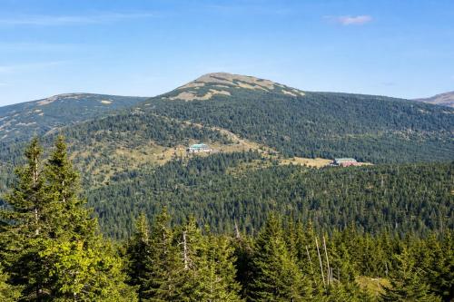 a mountain with trees and a house on top of it at Hotel Spindlerova Bouda in Špindlerův Mlýn