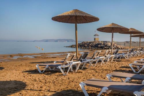 a row of chairs and umbrellas on a beach at SOL by Meliá Marina Beach Crete in Gouves