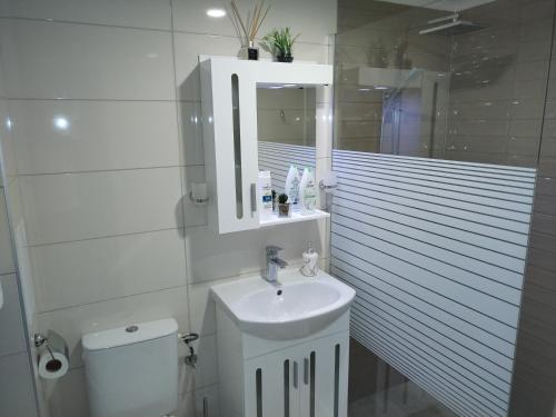 a bathroom with a sink and a toilet and a mirror at Balkan Tower Elegance by K in Gabrovo