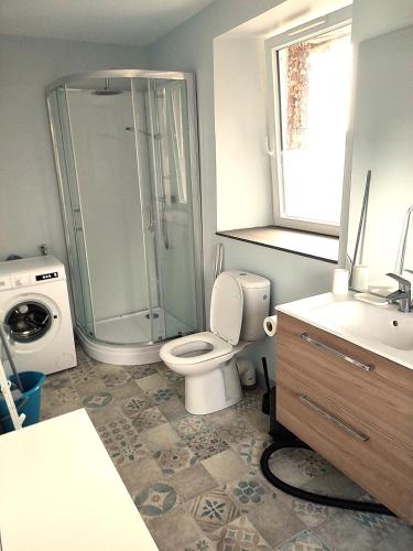 a bathroom with a shower and a toilet and a sink at Ker Louwen chambre d' hôte in Corseul