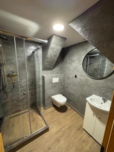 a bathroom with a shower and a toilet and a sink at Chata Borůvka in Pec pod Sněžkou