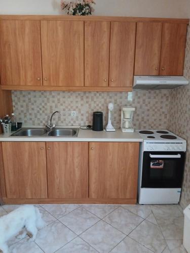 a kitchen with a sink and a stove at Nikoletta in Ancient Epidauros