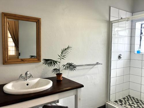 a bathroom with a sink and a shower at Vlettershof Guest House in Robertson