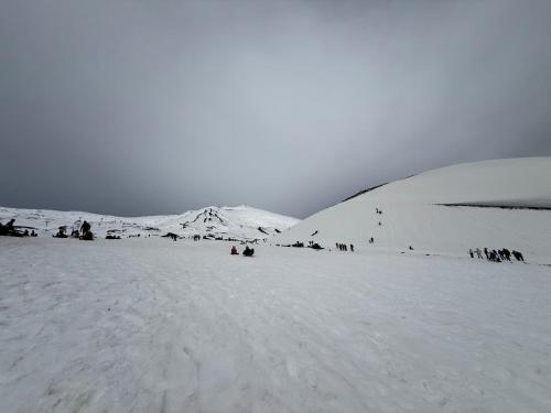 AlbaHouse photo 43