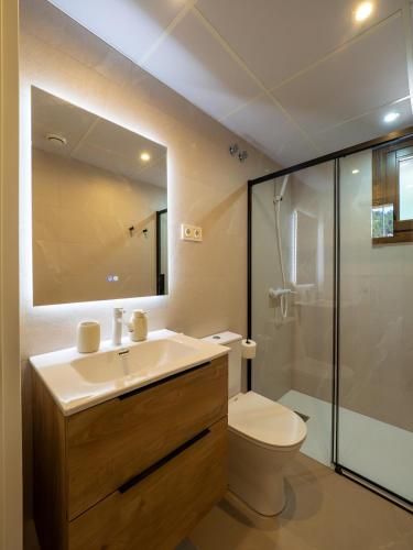 a bathroom with a sink and a toilet and a shower at mu APARTAMENTOS RURALES in Albella