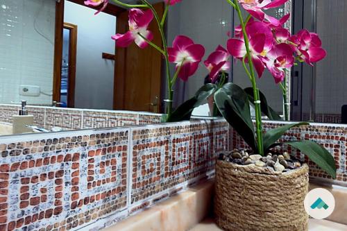 Apartamento en Casco Histórico