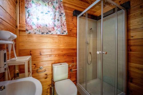 a bathroom with a shower and a toilet and a sink at Osada nad Wdą w Borsku in Borsk