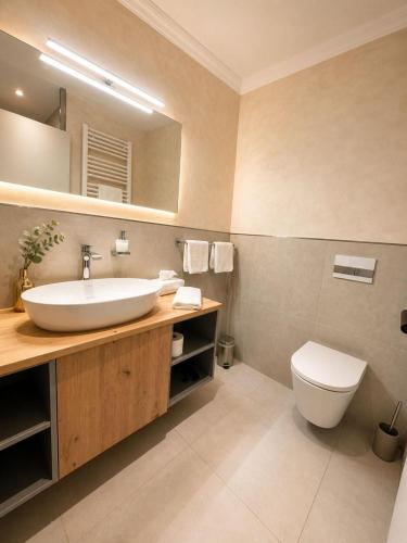 a bathroom with a sink and a toilet at Gasthof Russenbräu in Tiefenbach