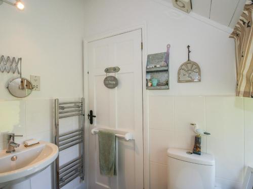 a bathroom with a shower and a toilet and a sink at Chess Cottage in Hereford