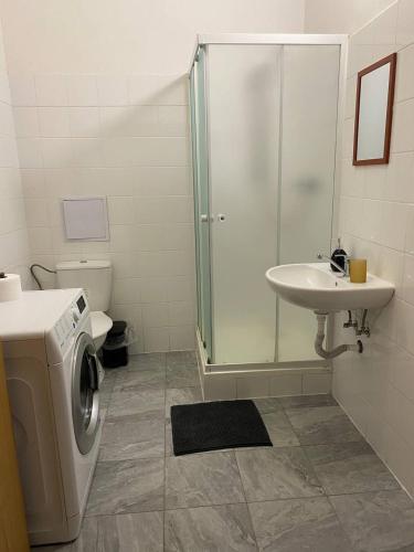 a bathroom with a washing machine and a sink at Flat in Center Teplice in Teplice