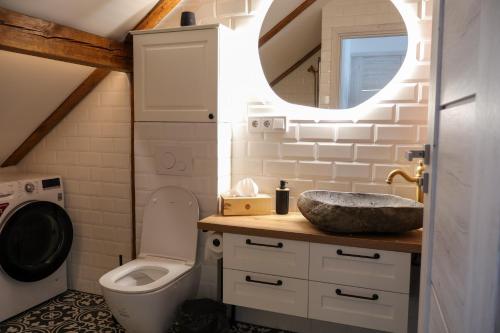 a bathroom with a sink and a toilet and a mirror at Pliusas Residence in Jurbarkas