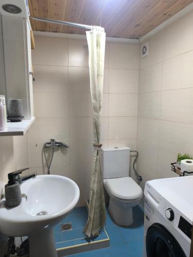 a bathroom with a toilet and a sink and a washing machine at Helidoni in Margarítai