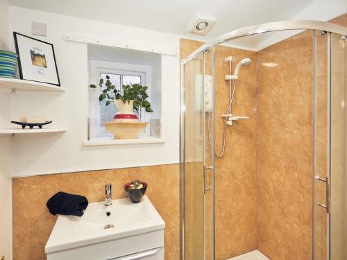 a bathroom with a shower and a sink at Apple Bough Cottage in Hereford