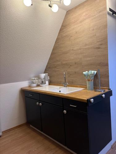 a bathroom with a sink and a counter at Ferienwohnung Seestern-Ranch in Niederlangen