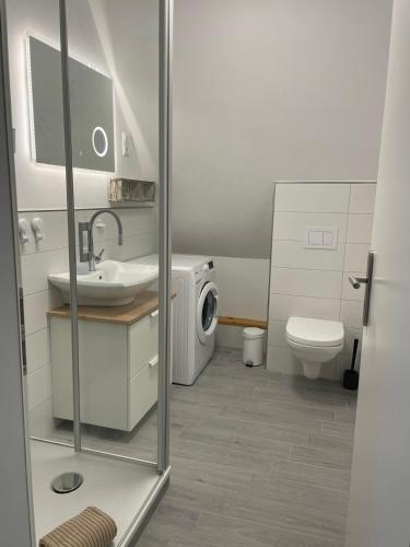 a bathroom with a sink and a washing machine at Burgerblick in Brodersby