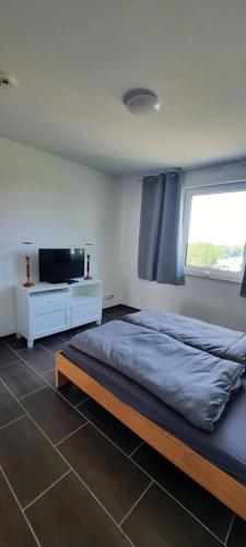 a bedroom with a large bed and a television at Gästewohnung KL. WZL 29_7 in Klein Wanzleben