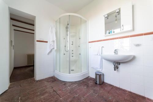 a bathroom with a shower and a sink at Agriturismo Montevecchio Isolani in Monte San Pietro