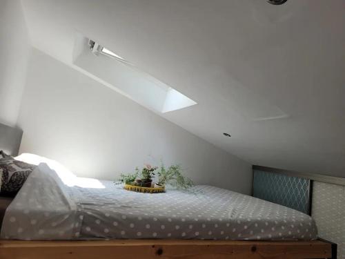 Superbe duplex avec terrasse au coeur de Paris