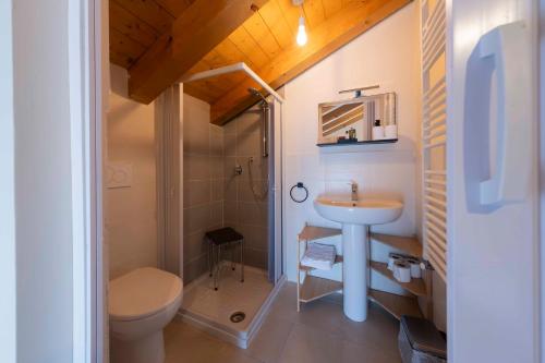 a small bathroom with a sink and a toilet at Ca' Lodola in Borzano