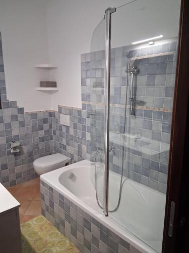 a bathroom with a shower with a tub and a toilet at Casamare Roby in Tanaunella
