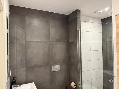 a shower with a glass door in a bathroom at Casa del Mondo 2 in Sankt Aldegund