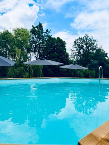 a swimming pool with umbrellas and trees in the background at Gutshaus Groß Helle in Mölln