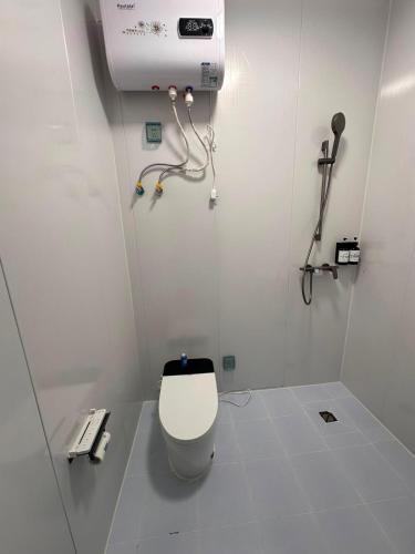a white bathroom with a toilet and a hair dryer at Zarya in Ölgiy