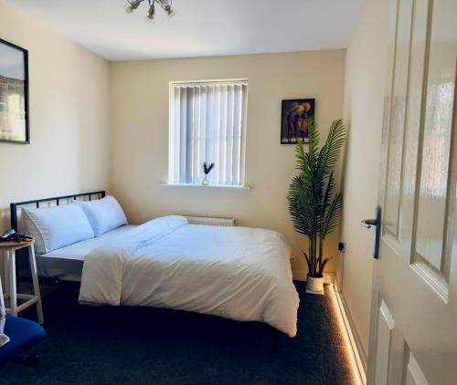 a bedroom with a bed and a potted plant at Blackrod Homestay in Blackrod