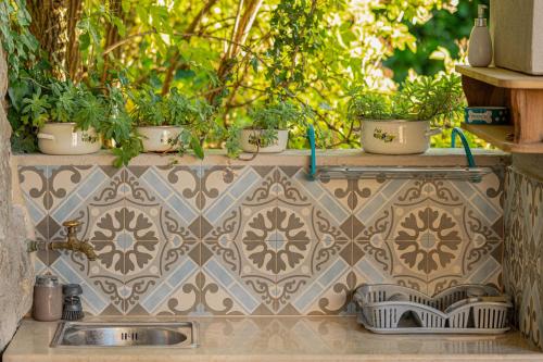 a kitchen sink with potted plants on a wall at Holiday House Rea with BBQ and two terrace in Sveti Donat