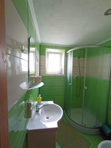 a green bathroom with a sink and a shower at Шепіт Лісу in Yaremche
