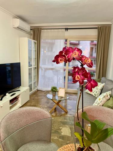 Apartamento cinnamon