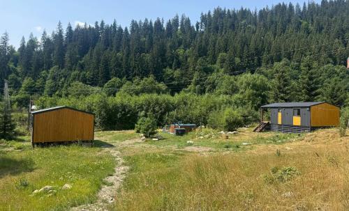 two small buildings in a field with trees at МріяТИ in Verkhovyna