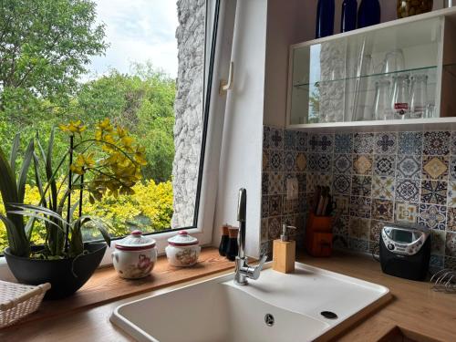 a kitchen with a sink and a window with plants at Pod Lasem in Zwierzyniec