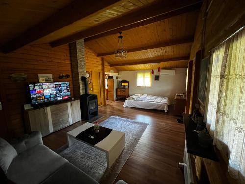 a living room with a couch and a bed at Holiday home Emma in Ripač