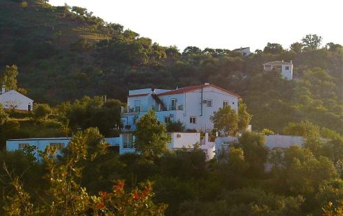 Vista Infinita Apartments