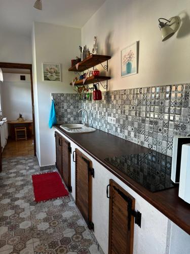 a kitchen with a sink and a counter top at Goralské chalupy in Zálesie