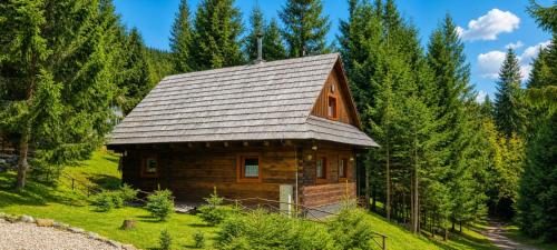 a log cabin in the middle of a forest at Jariabka Chalet - sun terace, fireplace, grill, space to play, green embrace of the forest in the Low Tatras in Jarabá