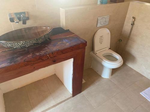 a bathroom with a sink and a toilet at Osinoni Cottages in Isiolo