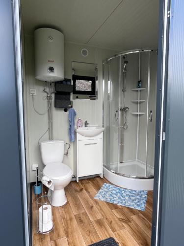 a small bathroom with a toilet and a shower at Claashoff Übernachtungsfass in Hollern-Twielenfleth