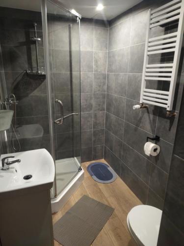 a bathroom with a shower and a toilet and a sink at Noclegi nad Zaporą in Międzybrodzie Bialskie