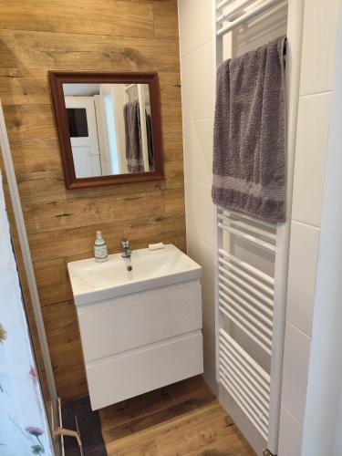 a bathroom with a sink and a mirror at Chalupa Meduňka in Vsetín