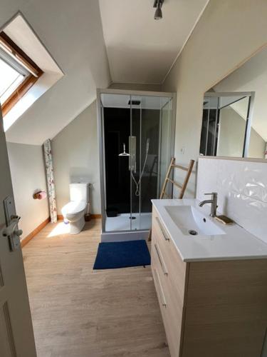 a bathroom with a shower and a sink and a toilet at GITE EQUESTRE DE LA LANDE in Bréhal