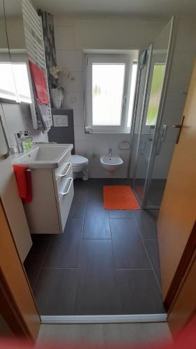 a bathroom with a sink and a toilet at Ferienwohnung " Am Dorfbrunnen" in Dienethal