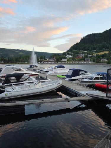 a bunch of boats are docked at a dock at 1 sleeping room in Fagernes