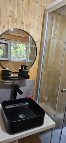 a bathroom with a black sink and a mirror at Cabana Relax in Râmnicu Vâlcea