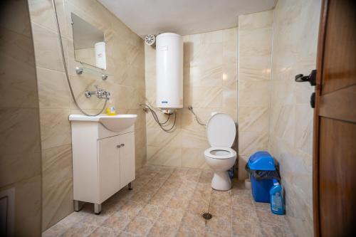a bathroom with a toilet and a sink and a shower at Комплекс Петлето in Sokolovtsi