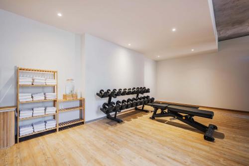 a gym with two rows of exercise equipment in a room at B&B HOTEL Liechtenstein-Eschen in Eschen