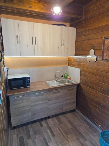 a kitchen with a sink and a microwave at River Star in Sîngeorgiu de Pădure