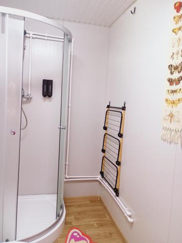 a shower stall in a bathroom with a wooden floor at Căsuțele De Sub Codru in Colacu